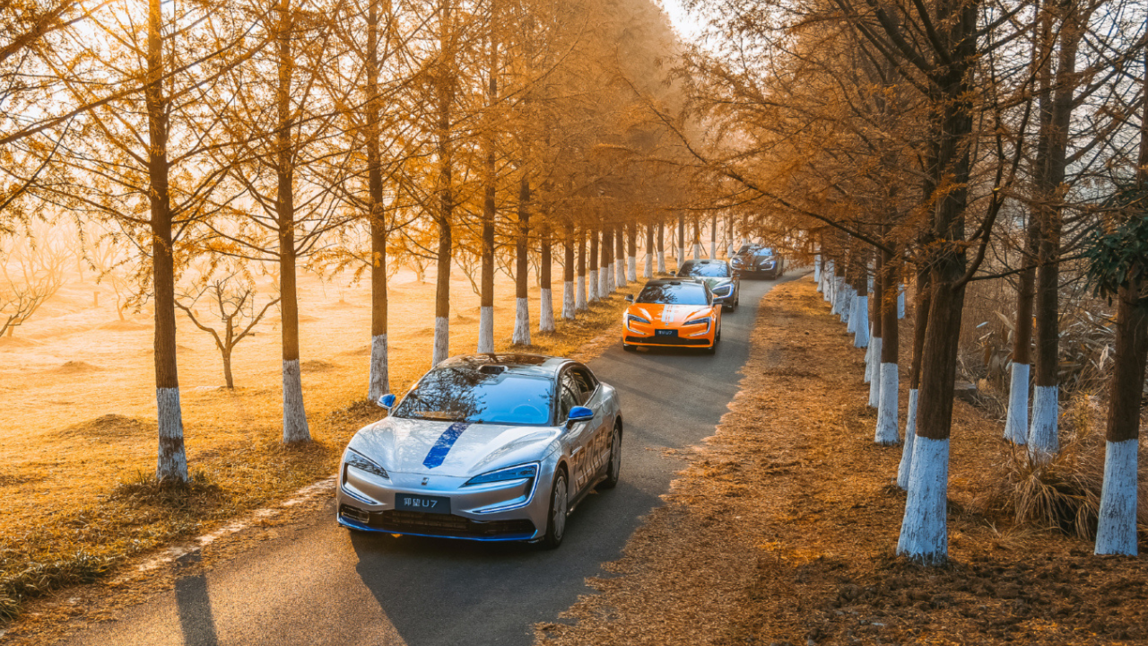   Image Credit: BYD.  